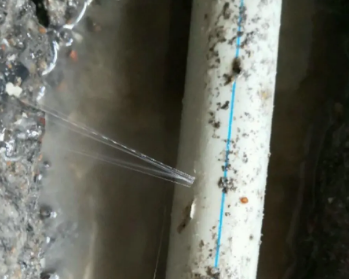 南召卫生间测漏水多少钱