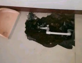 南召卫生间测漏水多少钱